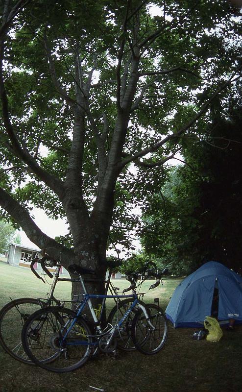 WT 0200 021-24 New Zealand.jpg